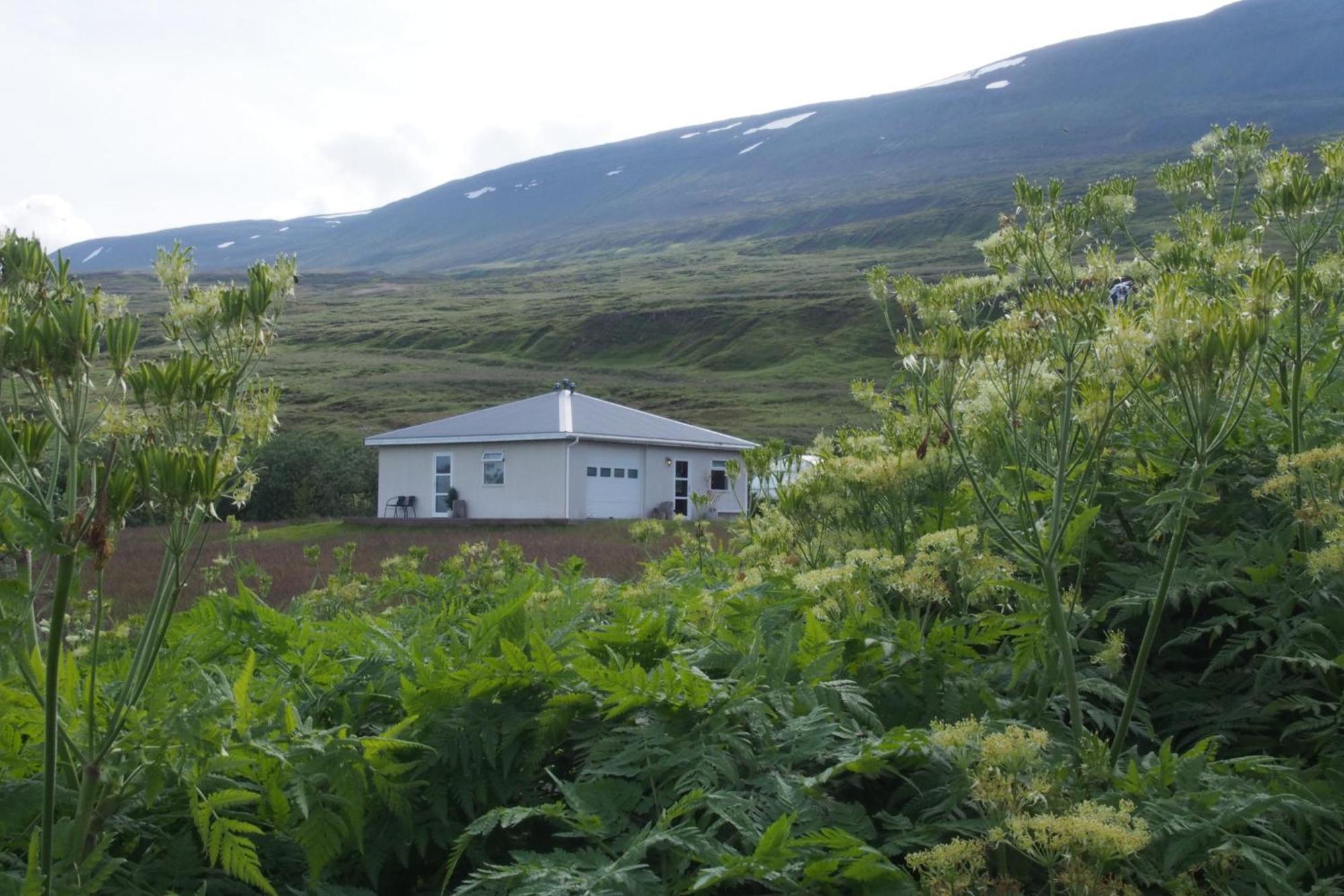 Granastathir Guesthouse Húsavík Esterno foto